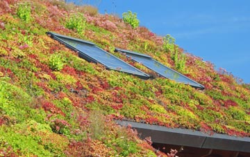 Knightcote living roof systems